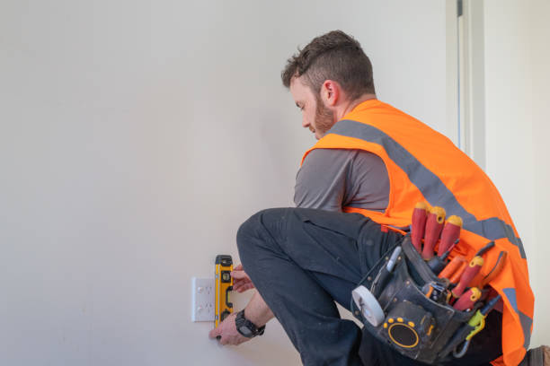 Best Electric Panel Repair  in Santo Domingo Pueblo, NM